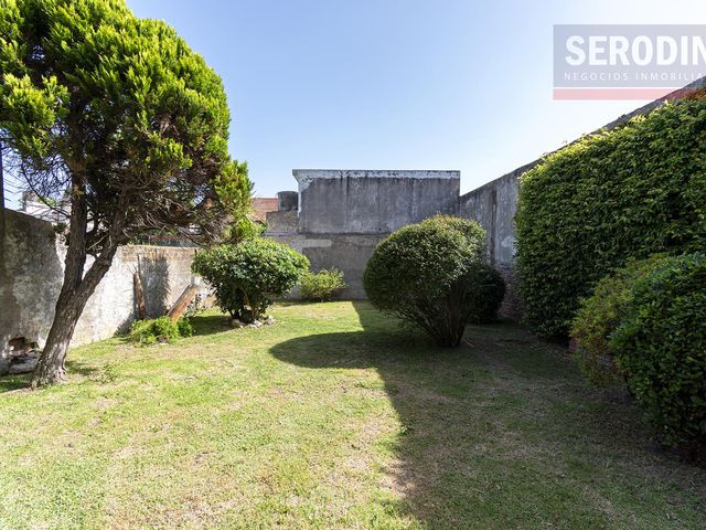 place photo 24