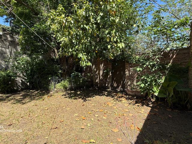 place photo 32