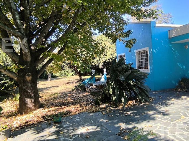 place photo 42