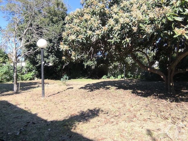 place photo 47