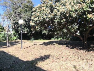 place photo 47