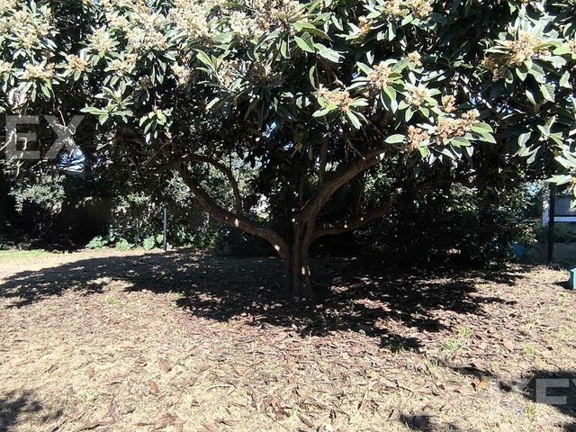 place photo 46