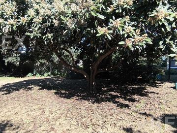 place photo 46