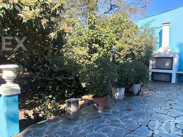 place photo 39