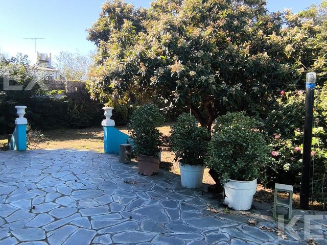 place photo 41