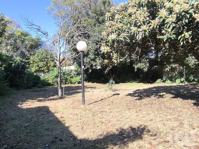 place photo 45