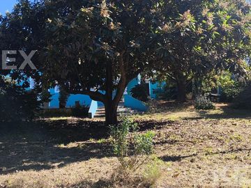 place photo 43