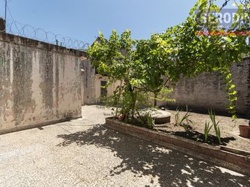 place photo 14
