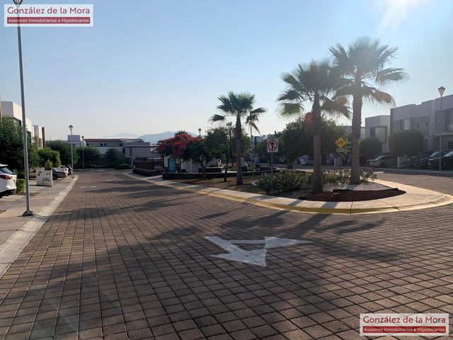 place photo 40