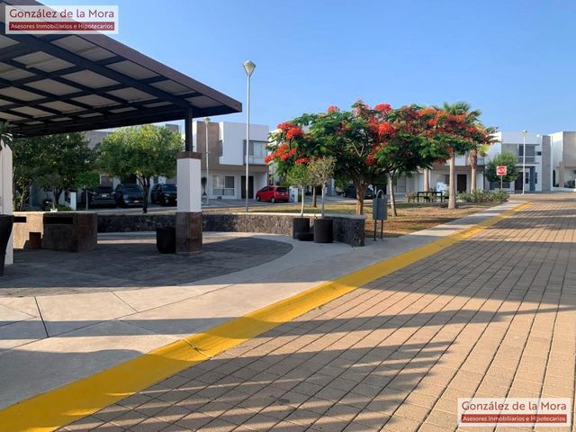 place photo 45