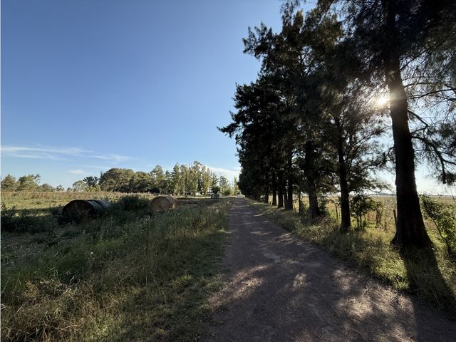 place photo 23