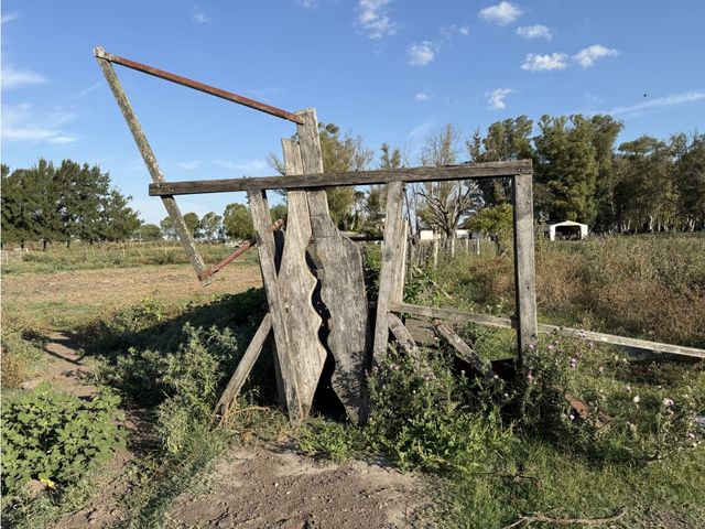 place photo 10