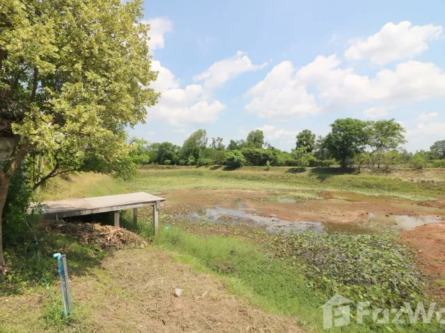 place photo 30
