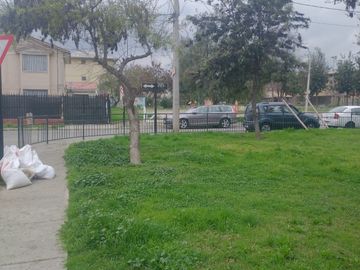place photo 14