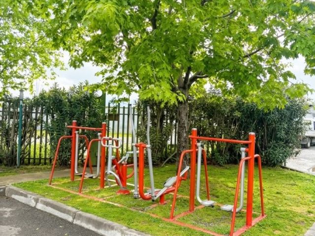 place photo 11