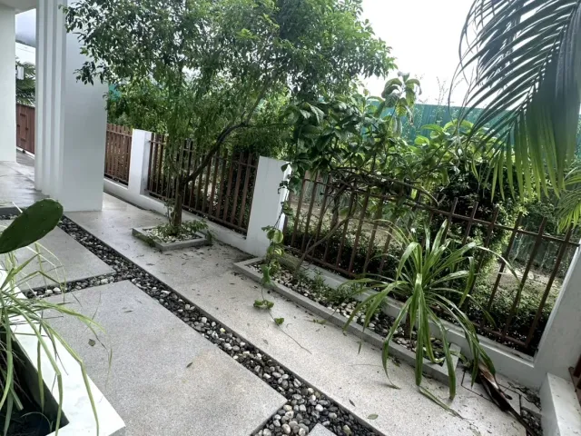 place photo 50