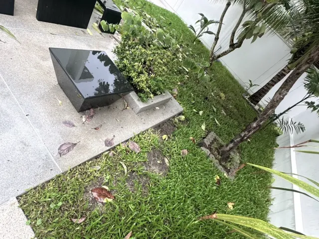 place photo 37