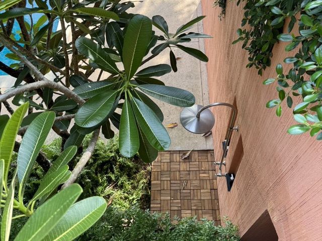 place photo 58