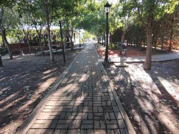 place photo 48