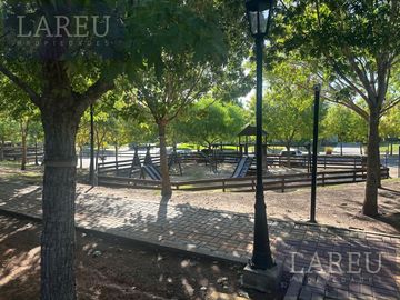 place photo 50