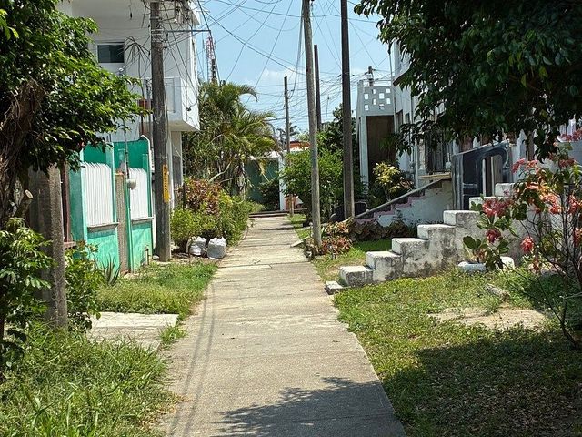place photo 20