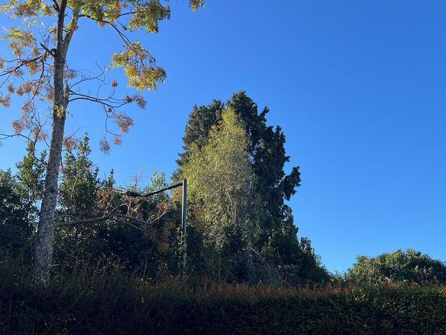 place photo 46