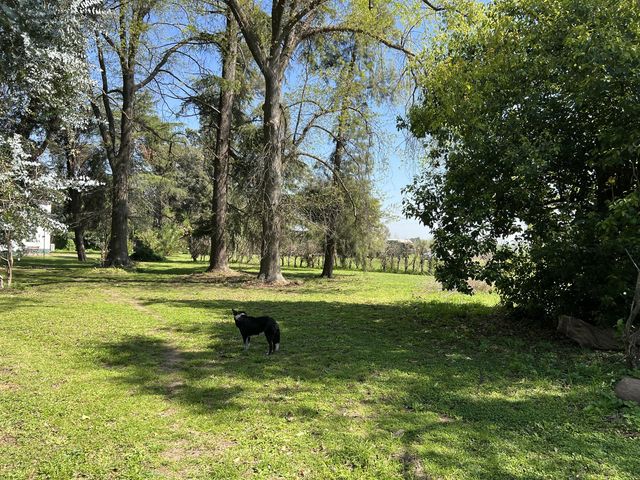 place photo 19