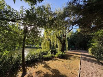place photo 27