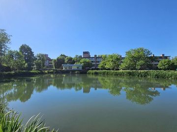 place photo 31