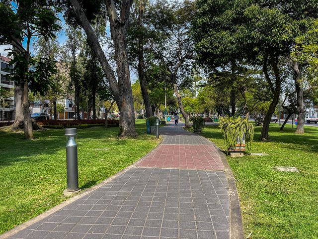 place photo 28