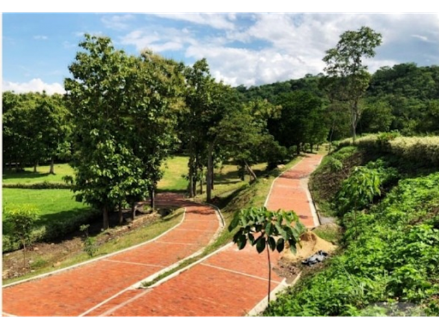 place photo 14