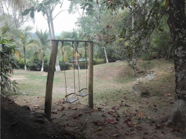 place photo 8