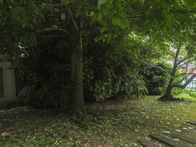 place photo 35