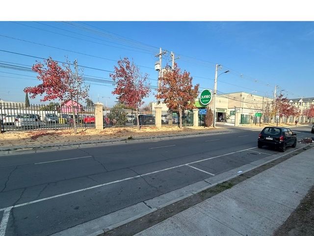 place photo 21