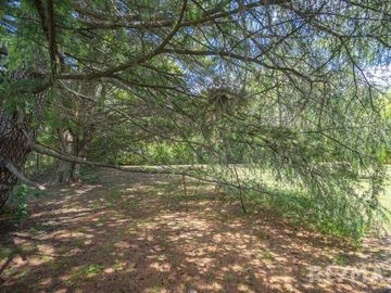 place photo 54