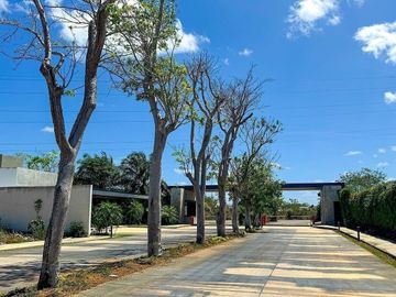 place photo 12