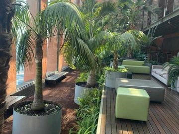 place photo 28