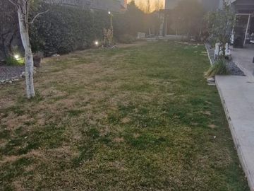 place photo 41