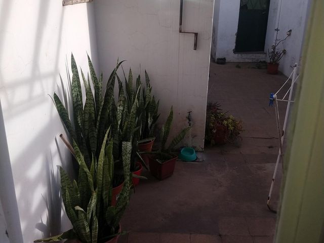 place photo 43