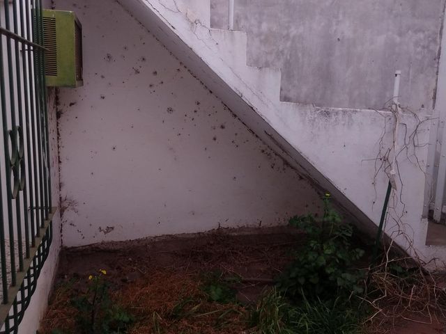 place photo 60