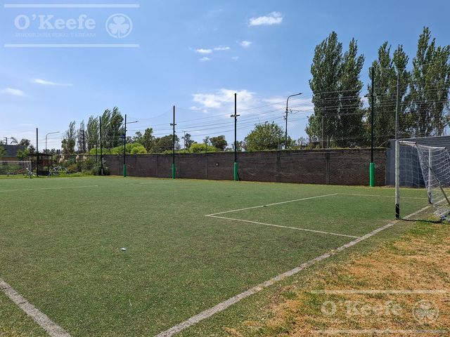 place photo 23