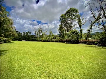 place photo 50