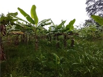place photo 70