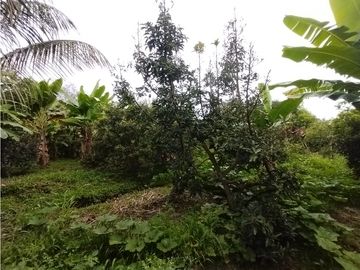 place photo 64