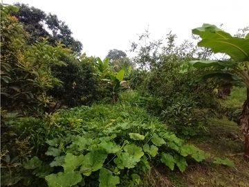 place photo 65