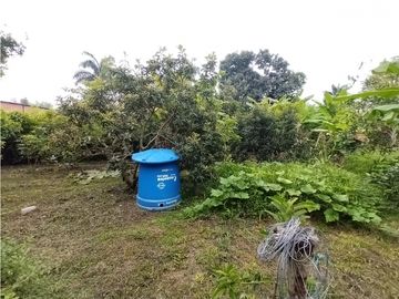place photo 63
