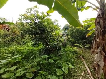 place photo 72