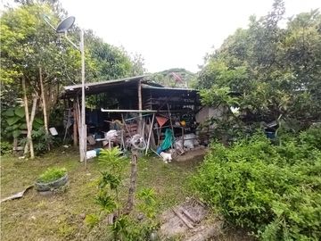 place photo 54