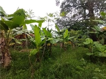 place photo 62