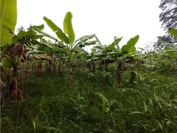 place photo 53